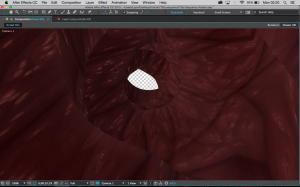 meat texture applied 